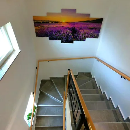 Jozi With Pool * Gabonjin