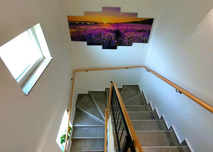 Jozi With Pool * Gabonjin